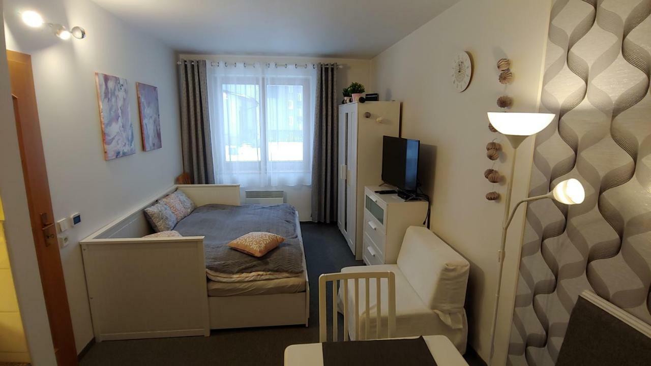 Horsky Roky - Krkonose Apartment *